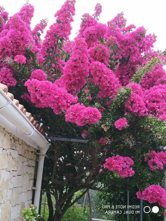 Villa Loulaki Magazia Paxi Arvanitakeika ภายนอก รูปภาพ
