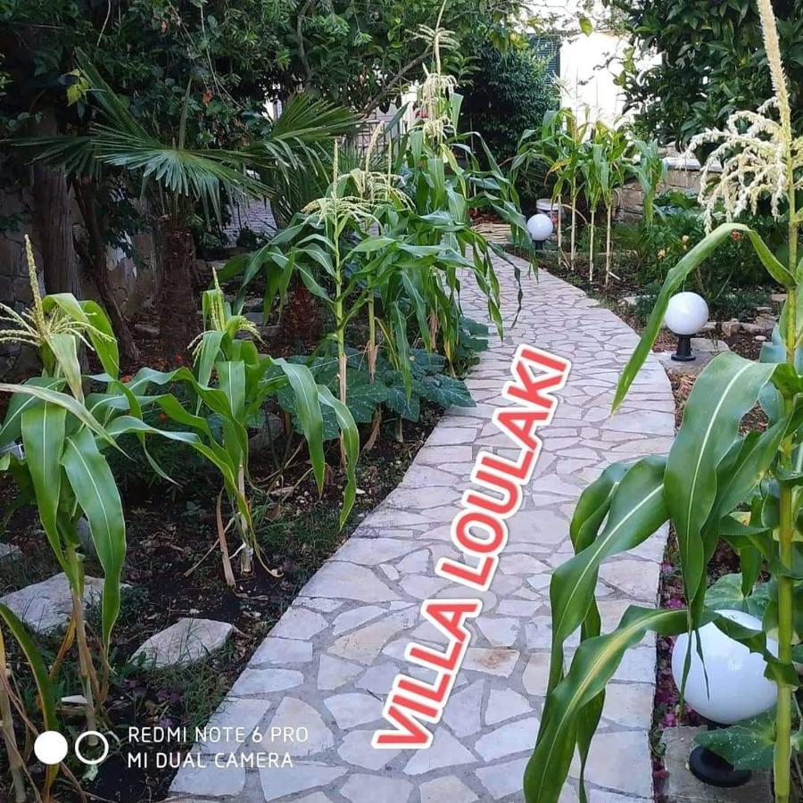 Villa Loulaki Magazia Paxi Arvanitakeika ภายนอก รูปภาพ