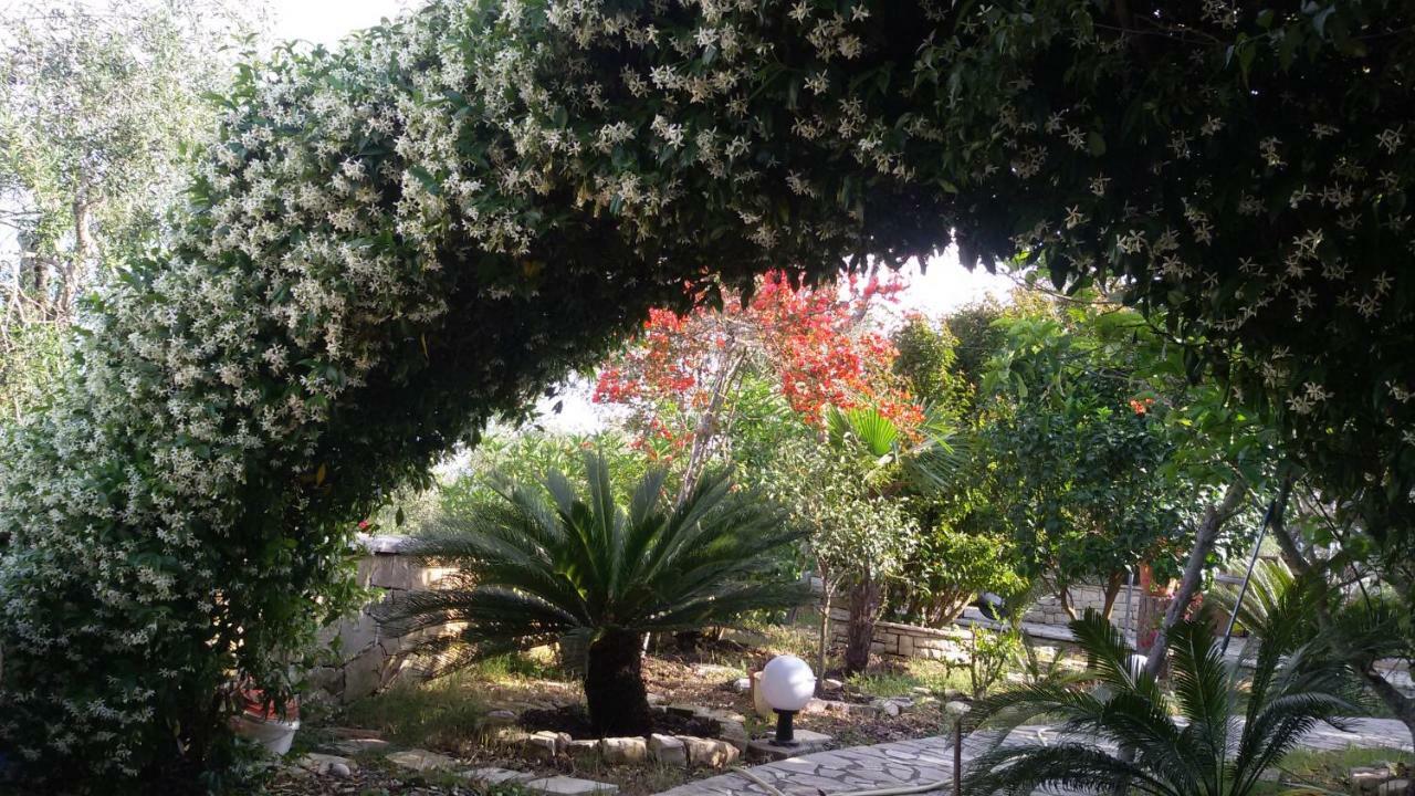 Villa Loulaki Magazia Paxi Arvanitakeika ภายนอก รูปภาพ