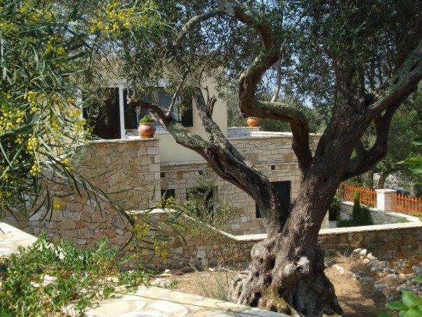 Villa Loulaki Magazia Paxi Arvanitakeika ภายนอก รูปภาพ