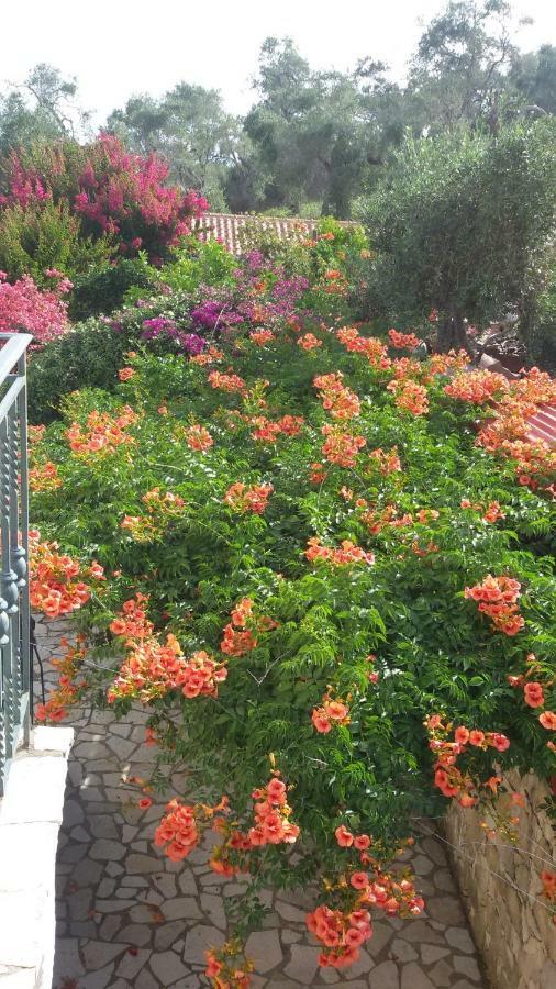 Villa Loulaki Magazia Paxi Arvanitakeika ภายนอก รูปภาพ